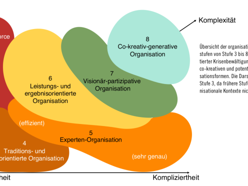 Grafik mit den verschiedenen Entwicklungsstufen von Organisationen.