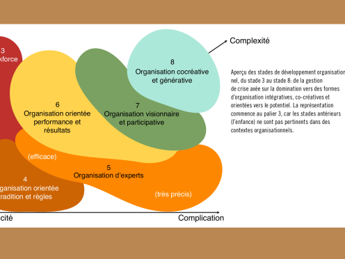 Grafico che illustra le diverse fasi dello sviluppo organizzativo in francese.